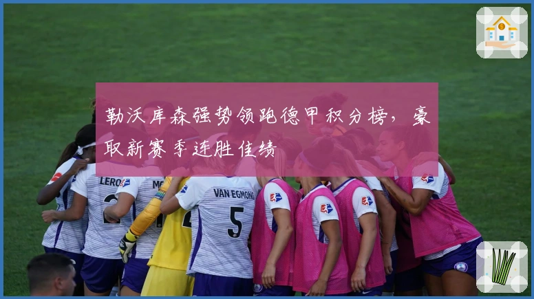 勒沃库森强势领跑德甲积分榜，豪取新赛季连胜佳绩